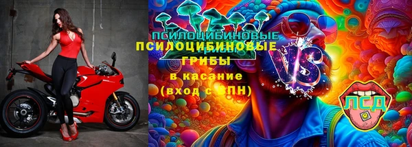 герыч Арсеньев