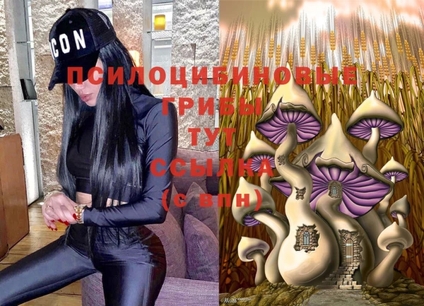 стафф Армянск