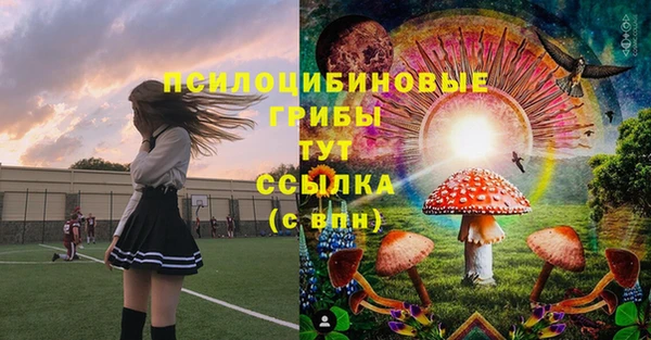 стафф Армянск