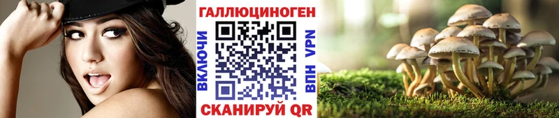 Псилоцибиновые грибы Cubensis  KRAKEN ONION  Ревда 